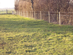 High Tensile Stock Fencing