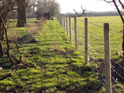 High Tensile Stock Fencing
