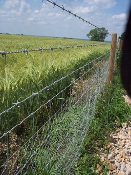 High Tensile Stock Fencing