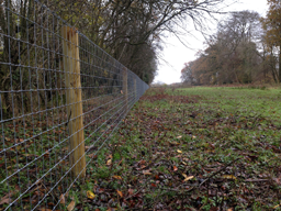 Horse Netting Fencing