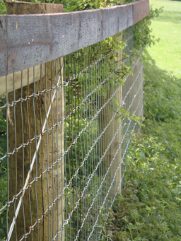 Horse Netting