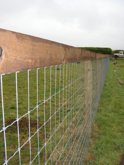 Horse Netting