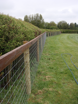 Horse Netting